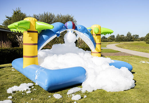 Bubble Park Dolphin